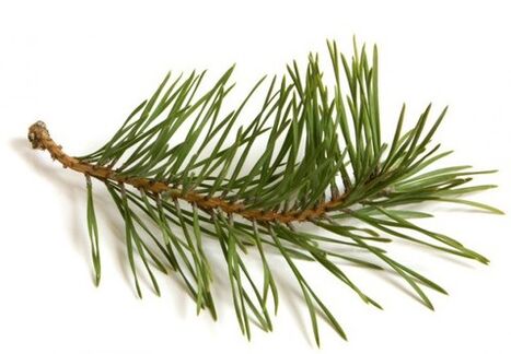 The Exodermin includes a pine needle extractor